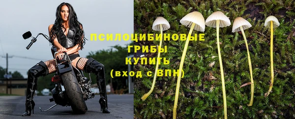 дистиллят марихуана Гусев