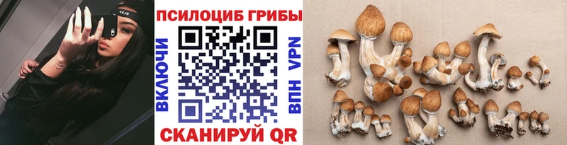 shop состав  блэк спрут сайт  Николаевск  Галлюциногенные грибы прущие грибы 