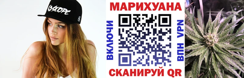 Бошки марихуана гибрид  где найти наркотики  Николаевск 